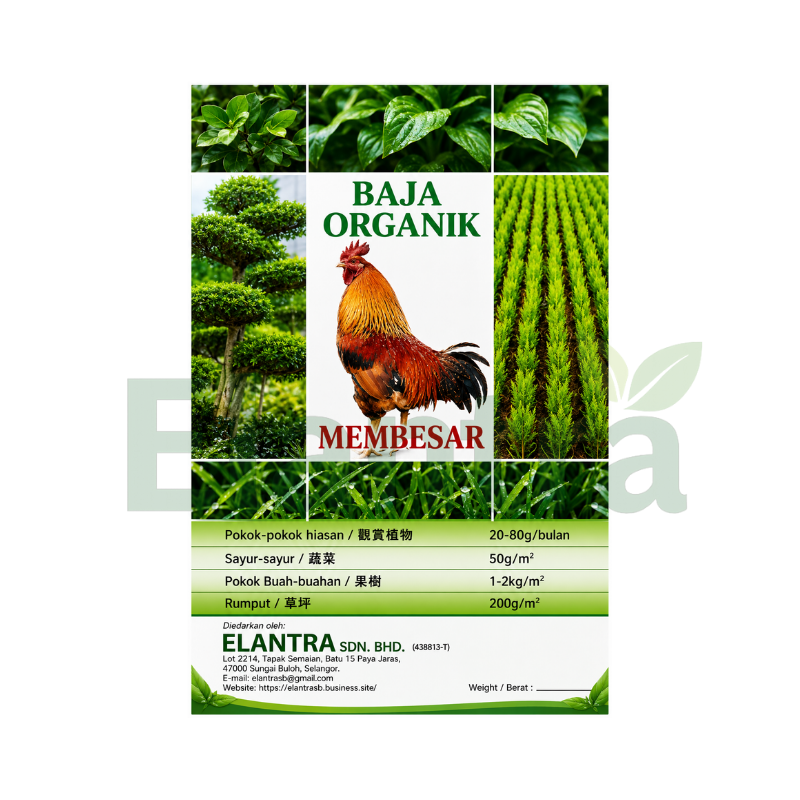 BAJA AYAM